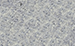 Stonblend esd sierra swatch.png